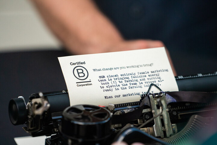 B Corp Newsletter